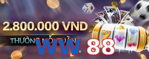 WW88